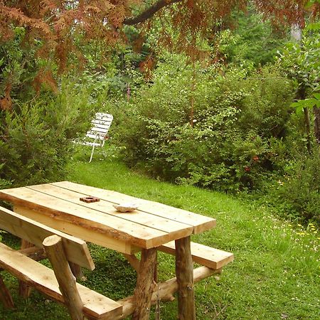 Hosteria Brisas Del Cerro Вилья-ла-Ангостура Экстерьер фото